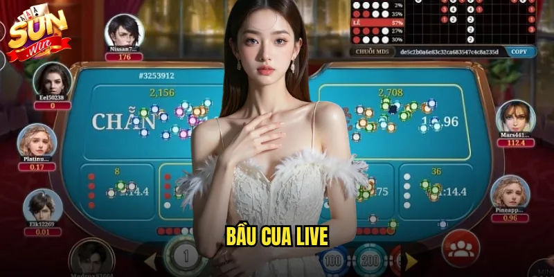 Bầu cua live sunwin trò chơi Tết truyền thống với nhà cái thật 1 bầu cua live