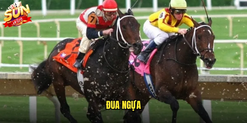 Đua ngựa sunwin với các trường đua danh tiếng thế giới 1 đua ngựa
